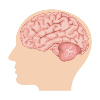 human brain side view llustration of scientific design scheme vector