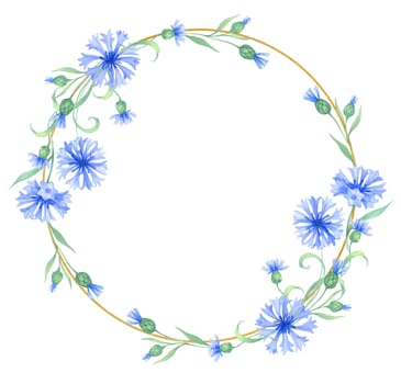 Golden wreath round frame with cornflower flowers . watercolor illustration with blue flowers vector