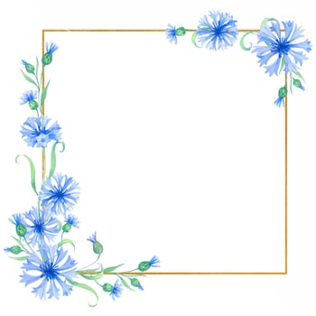Gold frame with cornflower flowers. watercolor illustration with blue flowers vector
