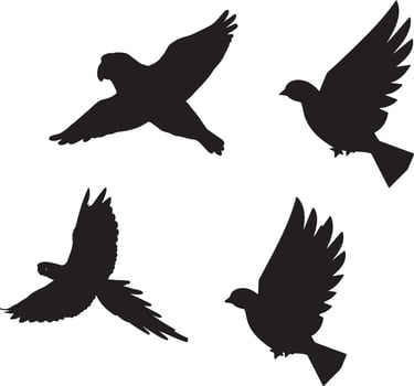 Flying Bird Silhouettes Collection. vector