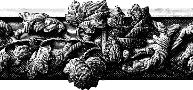 Intricate black and white vintage floral ornament with detailed leaves and stems. vector
