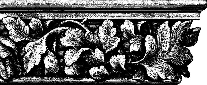 Ornate black and white leafy border design with detailed carving. vector