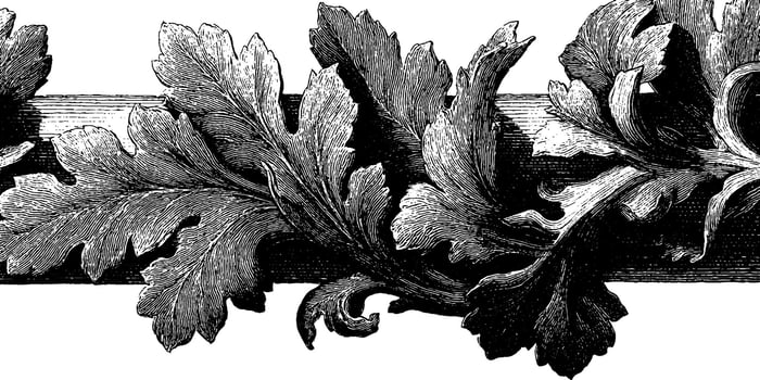 Intricate vintage botanical illustration of ornate oak leaves in black and white. vector