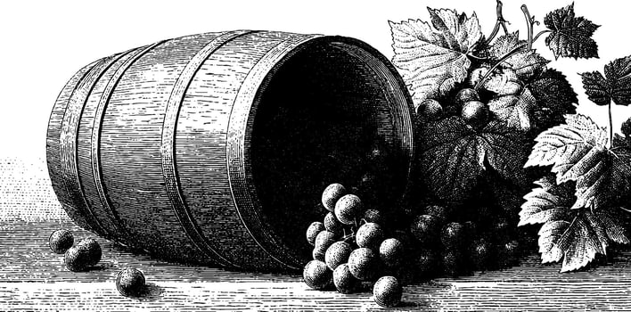 Vintage oak barrel with grapes and leaves in detailed engraving style. vector