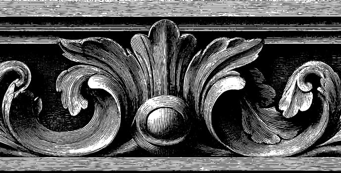 Vintage ornate acanthus leaf design in black and white engraving style. vector