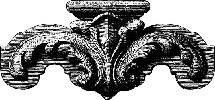 Ornate baroque wooden carving with intricate symmetrical details. vector
