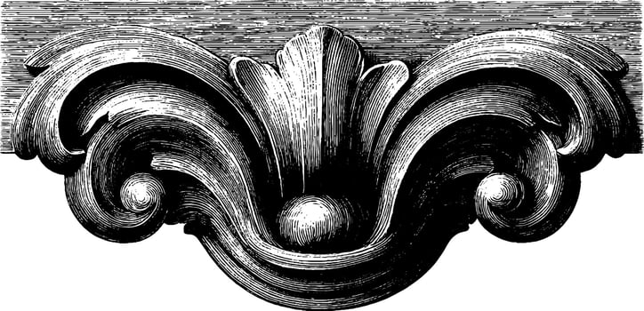 Ornate vintage wood carving design with symmetrical floral pattern. vector