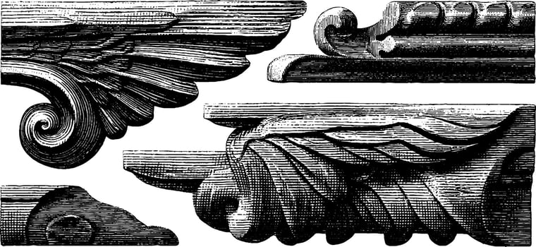 Intricate vintage architectural wood carvings and decorative details. vector
