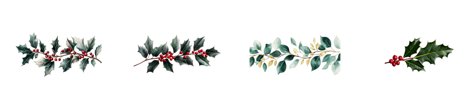 Decorative holly branches with berries on a transparent background png
