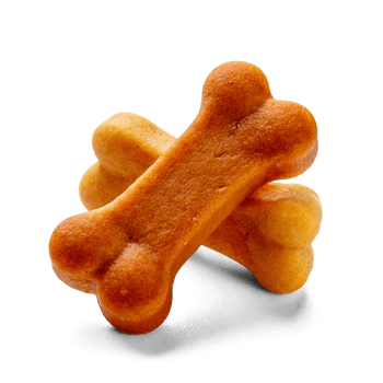 Dog bone treat, transparent background png