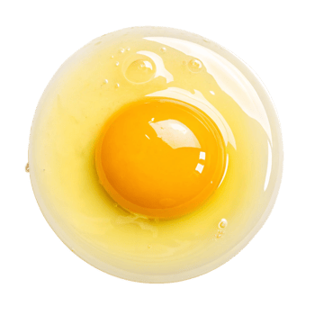 Golden egg poach png