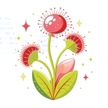Carnivorous Sundew Plant with Red Leaves and Flowers vector