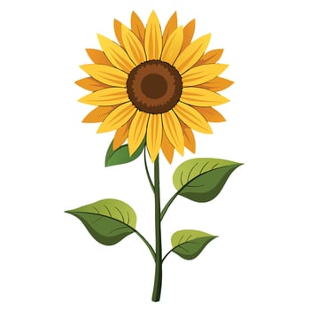 Detailed Illustration of a Sunflower Plant with White Petals and Long Stems vector