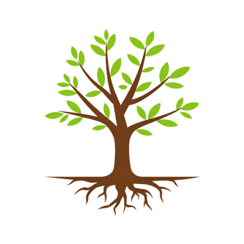 Tree illustration with green leaves and roots on a simple graphic design png