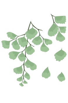 Small green leaves fall from the stalk. Forest Nature wallpaper decoration vector