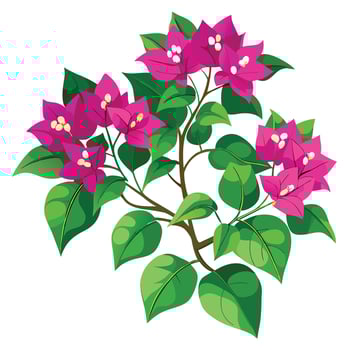 Bougainvillea Plant with Yellow Flowers and Green Leaves in a Garden Setting Isollated on a White Background vector