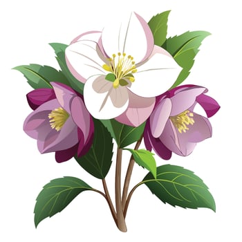 Vibrant Hellebore Plant with Brightly Colored Flowers and Leaves in a Natural Setting vector