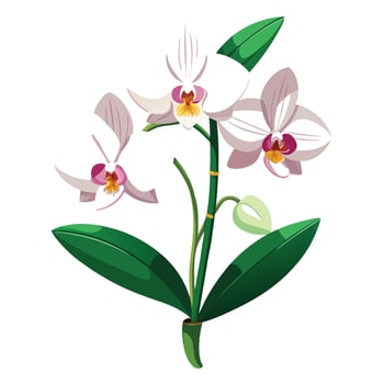 Intricate Details of an Orchid Plant in a Natural Setting with Wildflowers and Butterflies vector