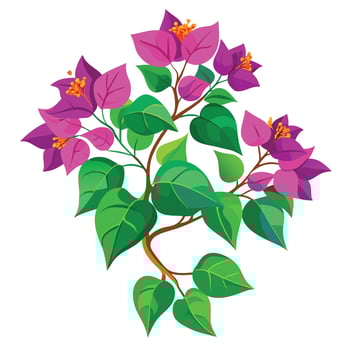 Beautiful Bougainvillea Plant with Colorful Flowers and Leaves vector