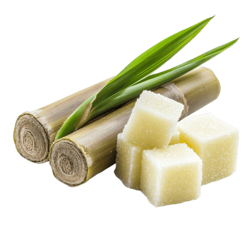 Two stalks of sugarcane with fresh leaves sit next to several sugar cubes, sugarcane and sugar cube on transparent background png