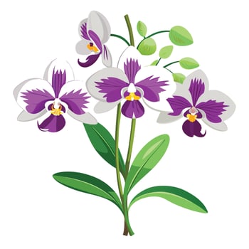 Detailed Illustration of an Orchid Plant with White Petals and Long Stems vector