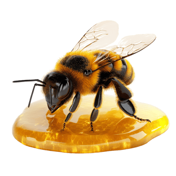 A bee perched on a golden drop of honey against a transparent background, bee and its honey, isolated, transparent background png