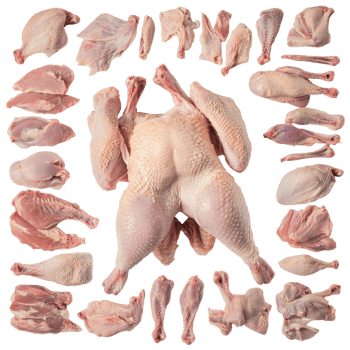 Collage of raw chicken parts arranged artistically on a clean surface for culinary preparation, whole raw chicken parts collage png