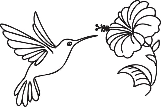 Hummingbird Line Drawing. vector