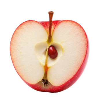 Half of a red apple fruit without seeds displayed on a clean transparent background, half red apple fruit without seed isolated on transparent background png