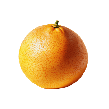 Fresh grapefruit standing on a bright transparent background, showcasing its textured skin and vibrant color, grapefruit on transparent background png