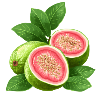 Fresh cut guava fruit with green skin and pink flesh isolated on a transparent transparent background for culinary use, Guava fruit isolated on ransparent transparent background png