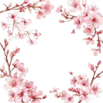 Delicate cherry blossom branches in elegant watercolor design for springtime decor and invitations, Elegant Sakura Branches Delicate Cherry Blossoms Frame Softly Textured Borders. png