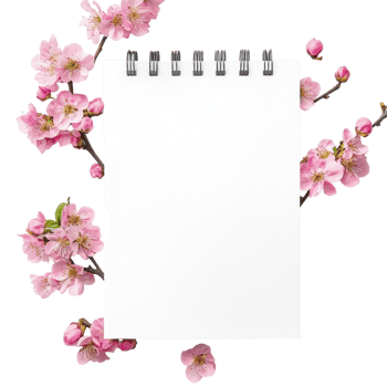 A blank spring notepad surrounded by delicate pink cherry blossom flowers on a transparent background, spring notepad front view, file of isolated object on transparent background png