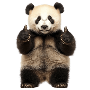 A cheerful panda bear giving a thumbs up against a bright transparent background, showcasing its playful spirit, Panda Bear Giving ThumbsUp Isolated on transparent background png