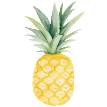 Watercolor pineapple clipart png
