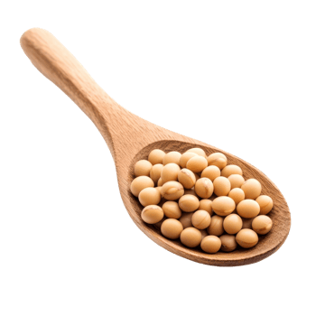 Soybeans in a wooden spoon against a transparent background showcasing their natural color and texture, Soy beans in wood spoon isolated on transparent background png