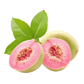 Fresh pink guava fruit with leaves isolated on a clean transparent background, showcasing its vibrant color and texture, pink guava fruit isolated on transparent background png