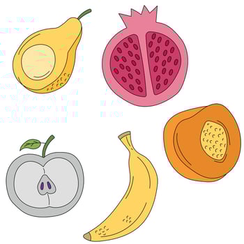 Fruit Clipart Collection vector