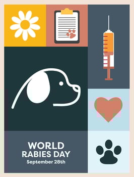Flat design poster featuring vibrant illustrations for Rabies Day, Pet Day, and Veterinarian Day, with animals and veterinary symbols, promoting awareness and animal health education. vector