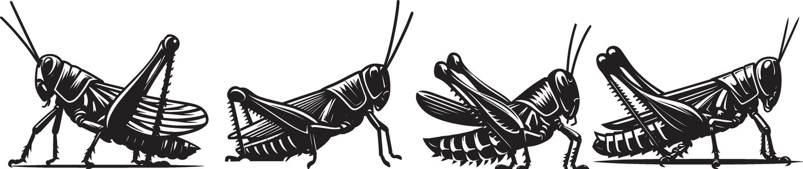 A group of four grasshoppers in different poses vector