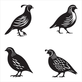 Set of pheasant silhouettes illustration vector