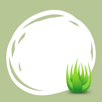 banner square frame aloe vera for background green advertising, blank banner aloe vera leaves for copy space, clip art aloe vera banner ad, empty template aloe vera for cosmetics cream products vector