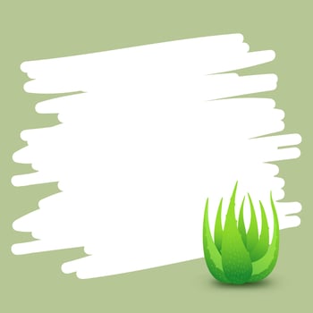 banner square frame aloe vera plant for background advertising, blank banner aloe vera leaves for copy space, clip art aloe vera banner ad, empty template aloe vera for cosmetics cream products vector