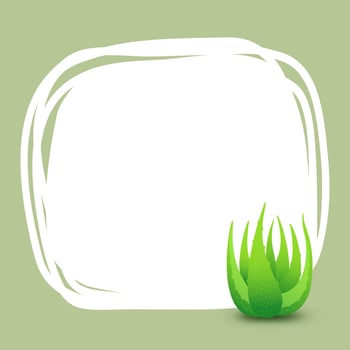 banner square frame aloe vera plant for background green advertising, blank banner aloe vera leaves for copy space, clip art aloe vera banner ad, empty template aloe vera for cosmetic cream products vector