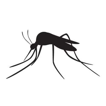 mosquito silhouette design. disease parasite animal. vector