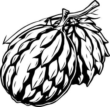 Detailed Black And White Illustration Of A Hop Cone vector