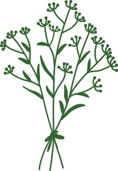 Wildflower Herb Silhouette Illustration. vector