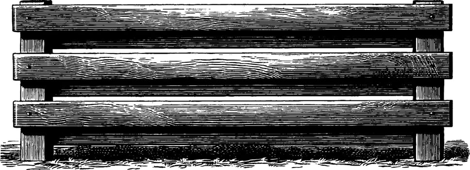 Retro 1950s black and white woodcut style illustration of tropical plants. vector
