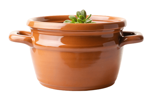 Minimalist terracotta pot with succulent plant on white, indoor plant decor for home or garden png