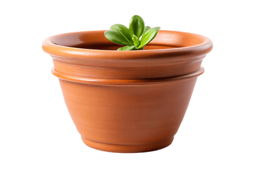 Elegant terracotta plant pot with green succulent, isolated on Transparent Background, ideal for nature themed decor png